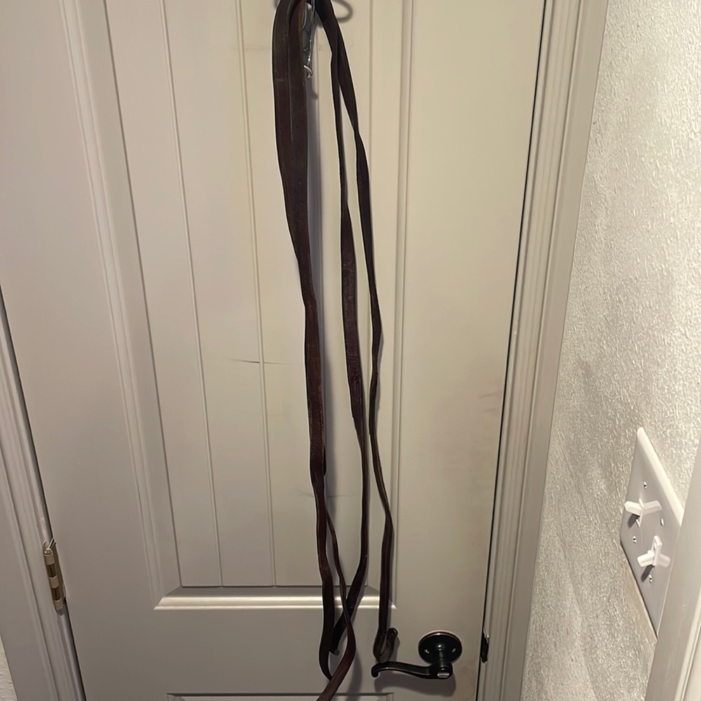 Split reins